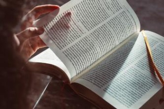 长隆门票怎么买最合算（长隆门票怎么买最合算一点）